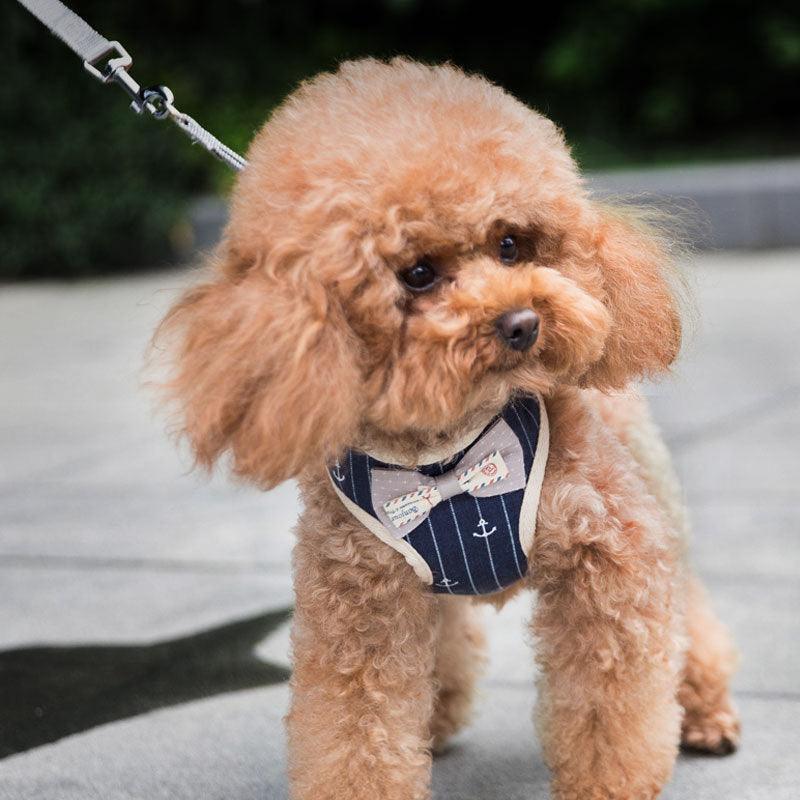 Breathable Mesh Pet Leash For Dogs And Cats - FurrrBabies & More! - Cat Leashes, Collars & Harnesses