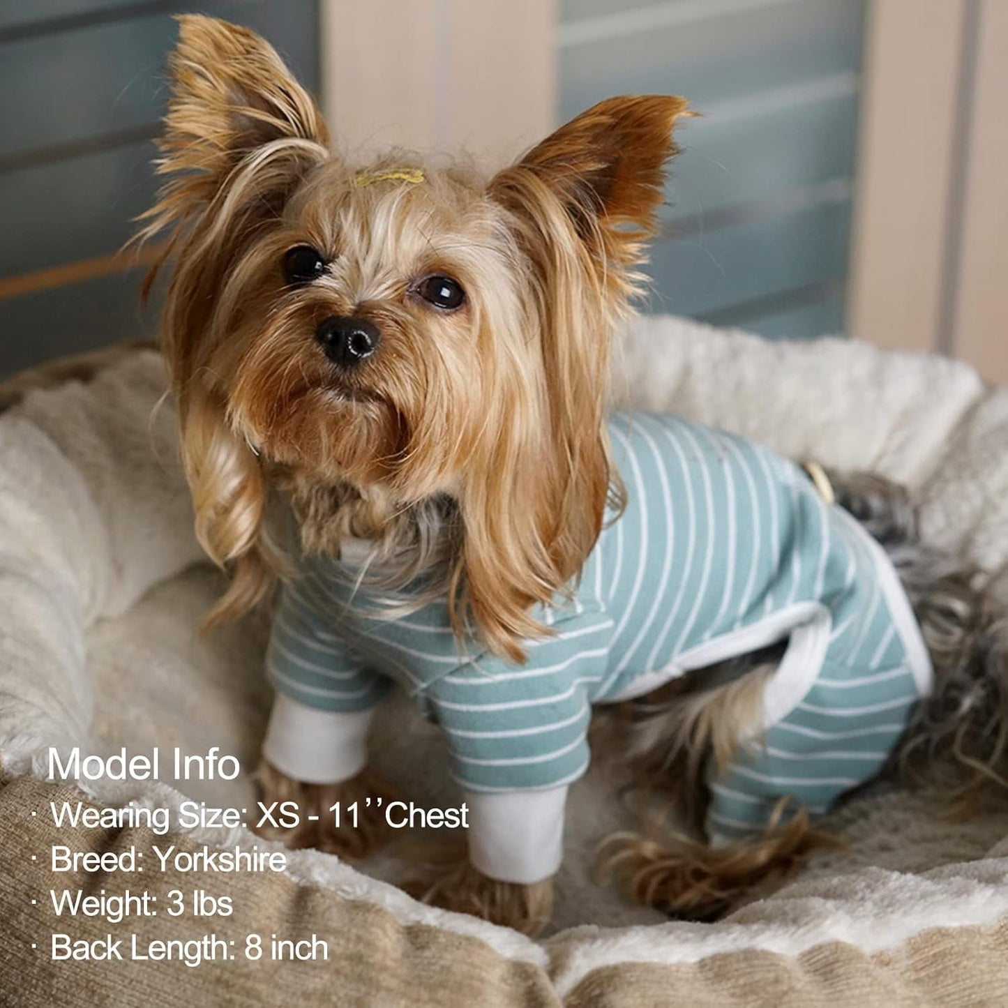 Dog Pajamas Stretchable 4 Legs Doggie Jammies Striped Dog PJS Jumpsuit Lightweight Onesie Puppy Pajamas Soft Breathable Cozy Pet Outfit PJS Comfortable Sleepwear, Green Striped, X - Small - FurrrBabies & More! - 726084276796