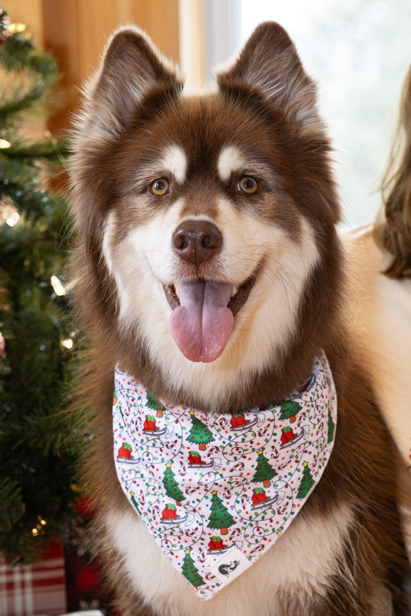 Howliday Cheer Dog Bandana - FurrrBabies & More! - 3531994112341bandana