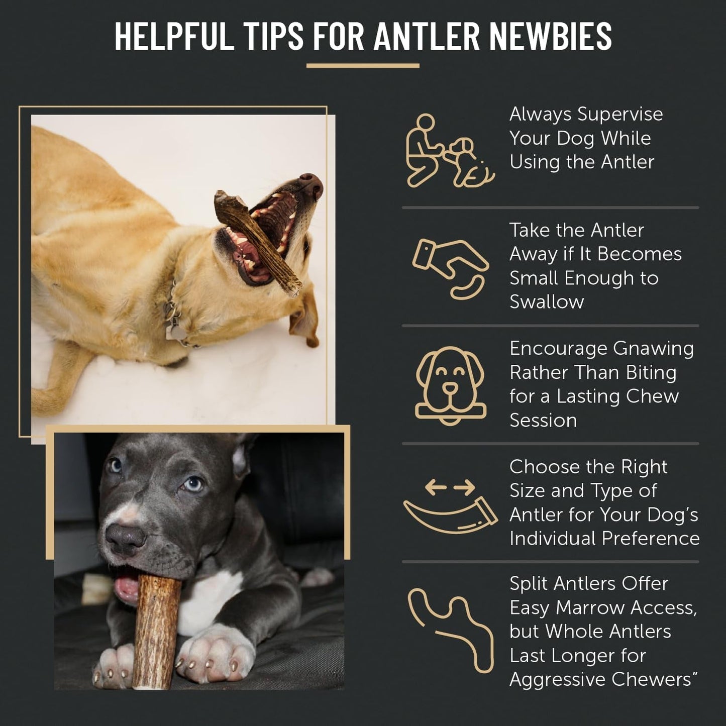 Premium Elk Antler Dog Chews (1 Pound Box) (Small (7 - 8 Pieces) Whole/Split Mixed) - FurrrBabies & More! - 313049146128