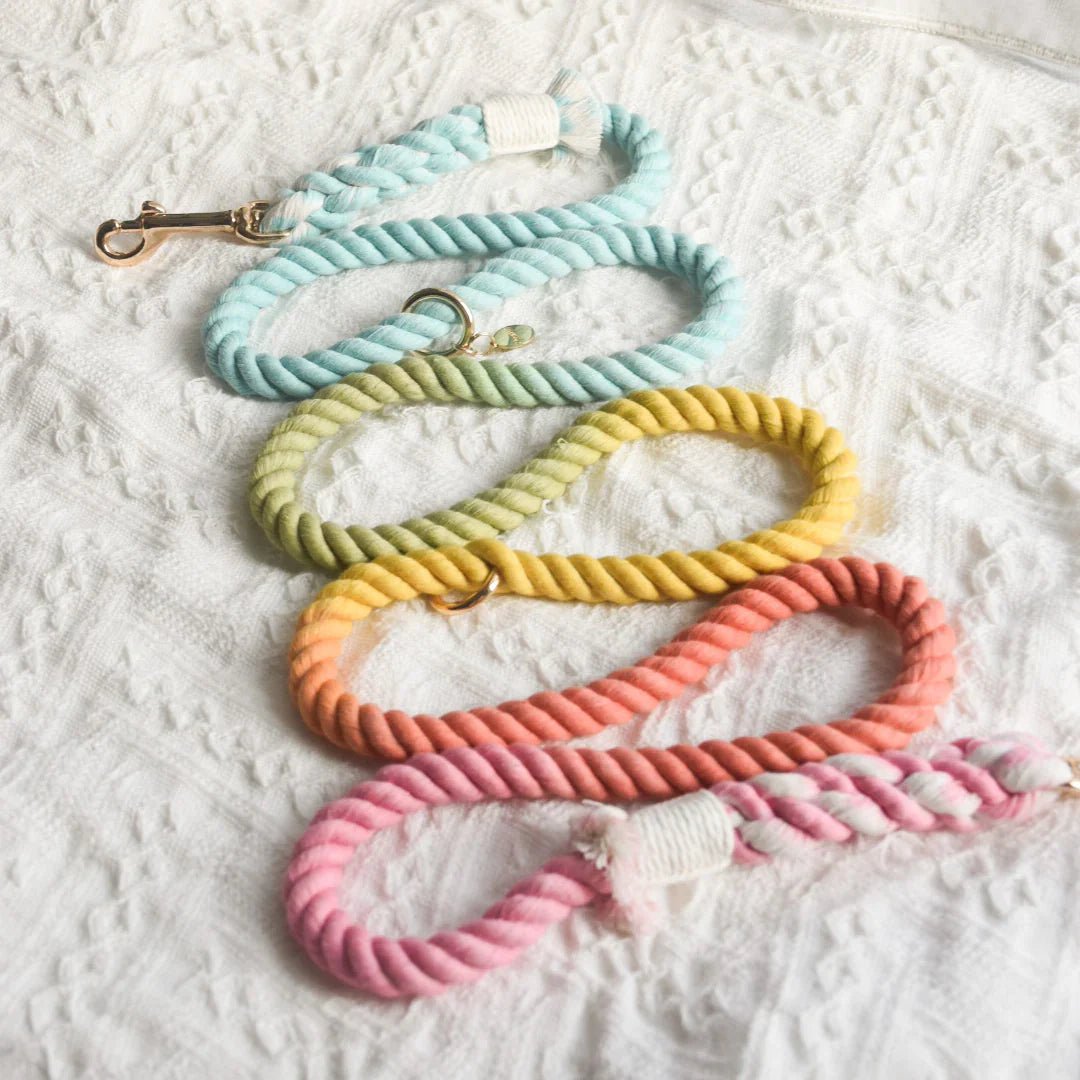 ROPE LEASH - SWEET LOLLIE - FurrrBabies & More! - rope leash