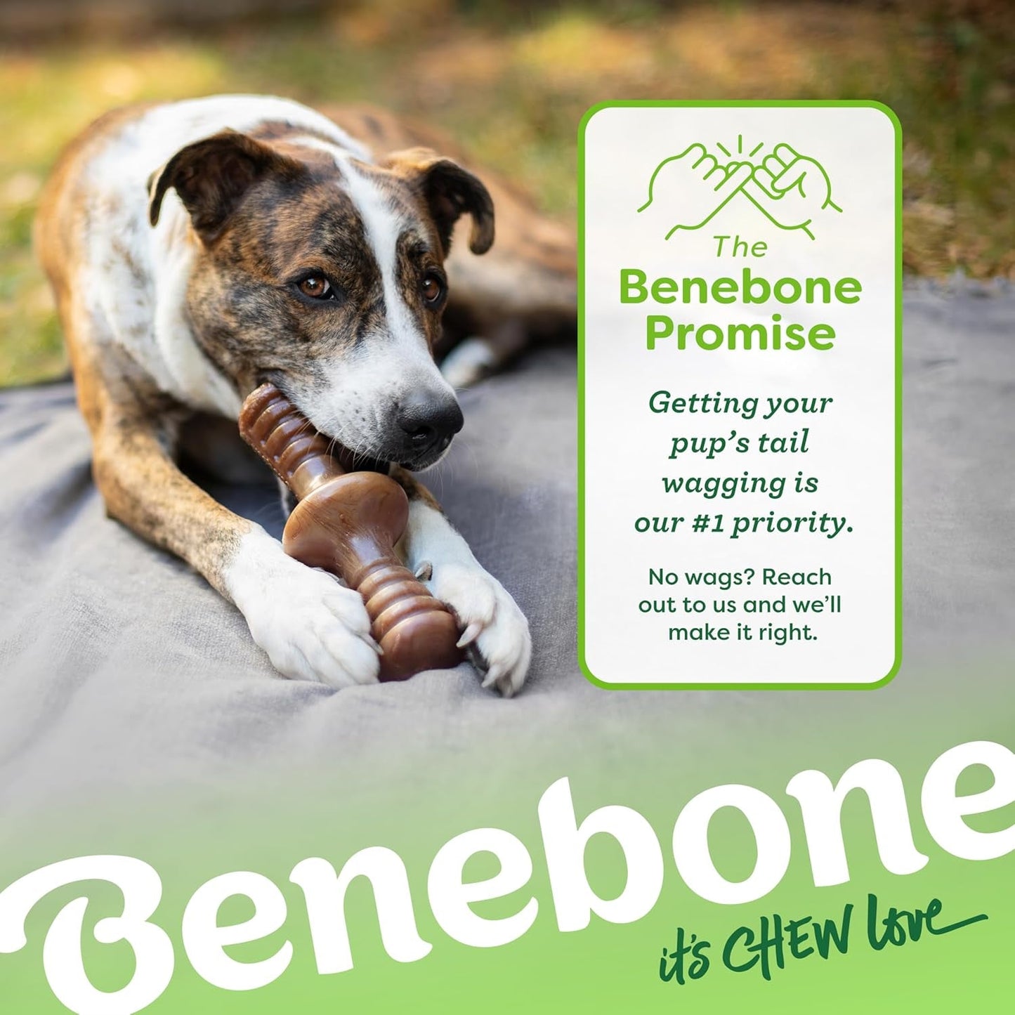 Zaggler Rolling Dog Chew Toy for Aggressive Chewers, Real Peanut, Made in USA, Small - FurrrBabies & More! - 705353422072