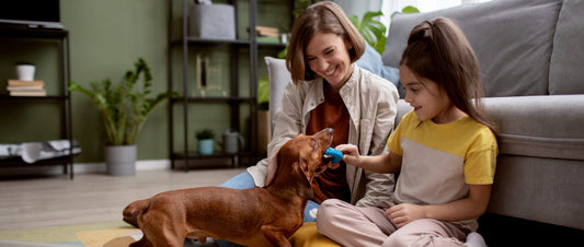 10 Must-Have Pet Products Every Pet Parent Swears By - FurrrBabies & More!
