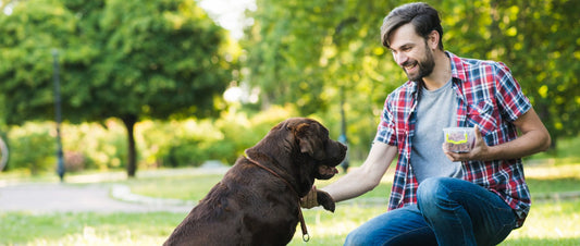 The Ultimate Guide to Keeping Your Pet Healthy and Happy - FurrrBabies & More!