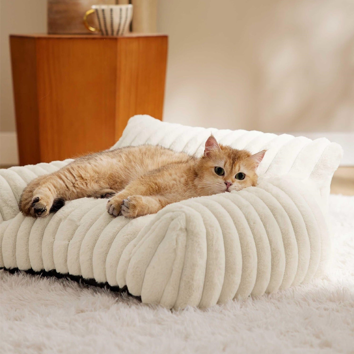 Beds Furniture & Comfort - FurrrBabies & More!