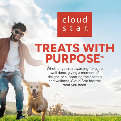 10 Oz. Pouch Training Reward Mini Soft & Chewy, Beef Flavor, with 500 Treats per Bag, the Choice of Top Trainers - FurrrBabies & More! - 500 Count (Pack Of 1) - 313052954901
