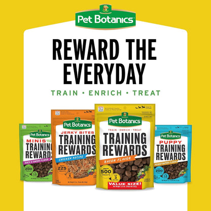 10 Oz. Pouch Training Reward Mini Soft & Chewy, Beef Flavor, with 500 Treats per Bag, the Choice of Top Trainers - FurrrBabies & More! - 500 Count (Pack Of 1) - 313052954901
