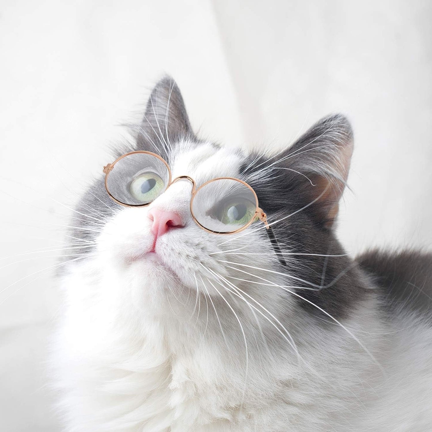10 Pieces Cat Dog Sunglasses Funny Pet Glasses round Metal Small Classic Retro Sunglasses Pet Hippie Cute Dog Cat Cosplay Party Costume Photo Props Cosplay Glasses(Mixed Color) - FurrrBabies & More! - 313030430472