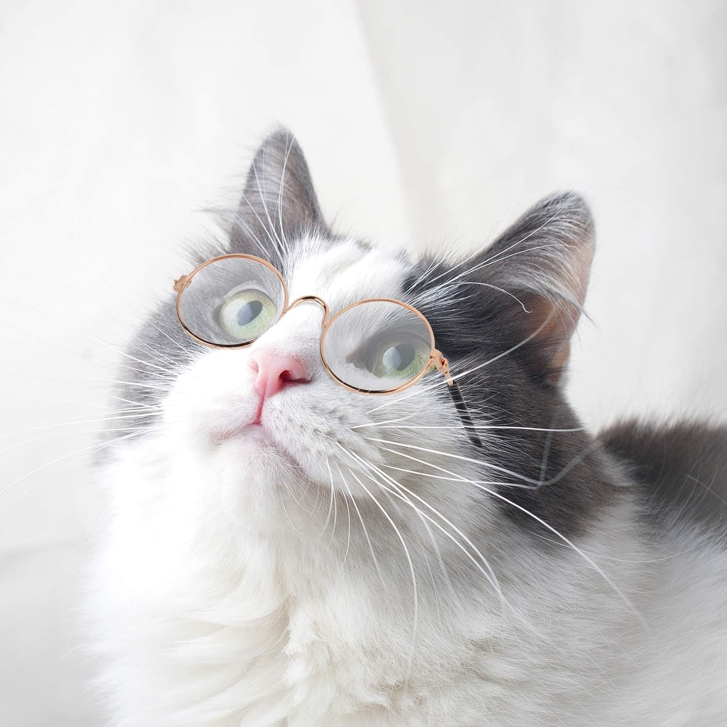 10 Pieces Cat Dog Sunglasses Funny Pet Glasses round Metal Small Classic Retro Sunglasses Pet Hippie Cute Dog Cat Cosplay Party Costume Photo Props Cosplay Glasses(Mixed Color) - FurrrBabies & More! - 313030430472