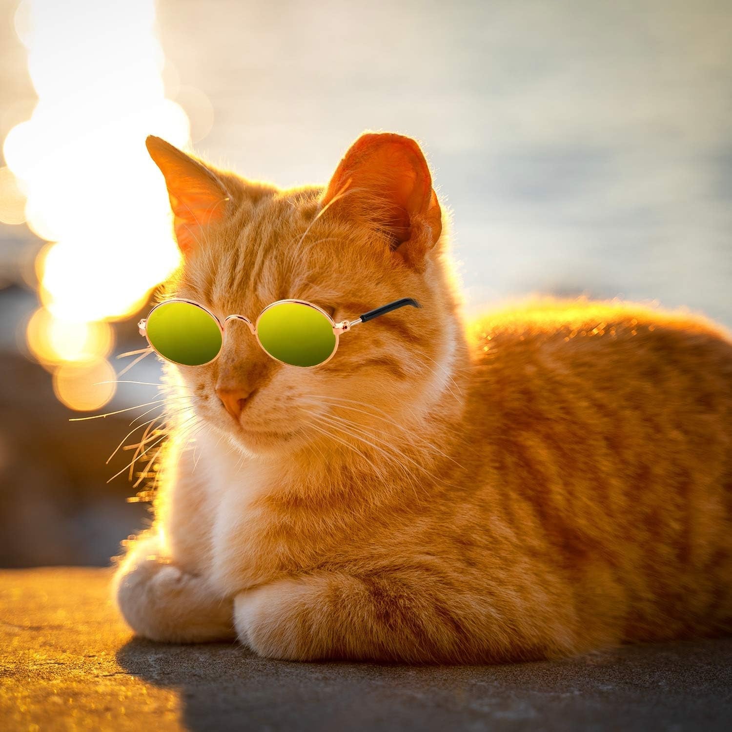 10 Pieces Cat Dog Sunglasses Funny Pet Glasses round Metal Small Classic Retro Sunglasses Pet Hippie Cute Dog Cat Cosplay Party Costume Photo Props Cosplay Glasses(Mixed Color) - FurrrBabies & More! - 313030430472