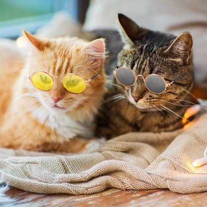 10 Pieces Cat Dog Sunglasses Funny Pet Glasses round Metal Small Classic Retro Sunglasses Pet Hippie Cute Dog Cat Cosplay Party Costume Photo Props Cosplay Glasses(Mixed Color) - FurrrBabies & More! - 313030430472
