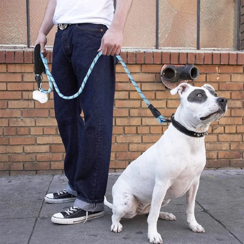 120/150/200/300CM Strong Leashes for Dogs Soft Handle Dog Leash Reinforced Leash for Small Medium Large Dogs Big Dog Supplies - FurrrBabies & More! - 313036710745