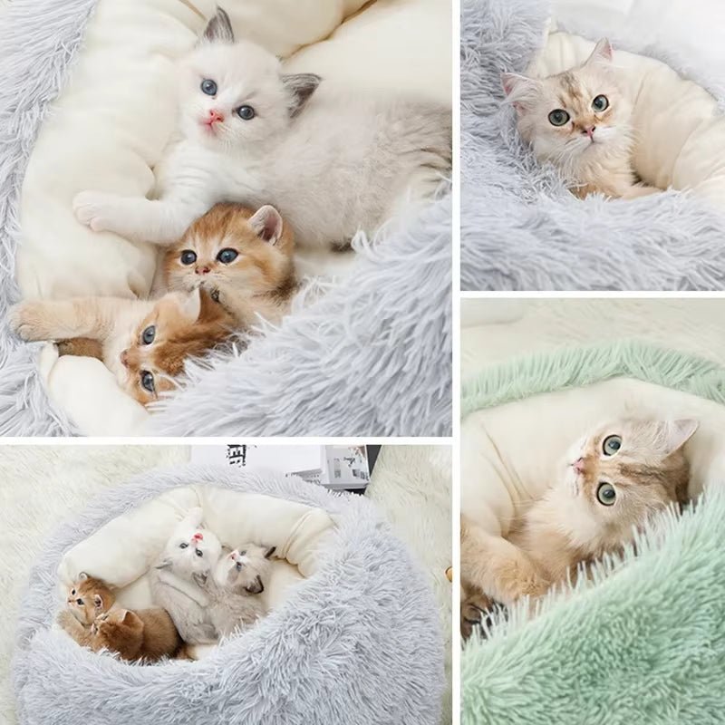 2 - in - 1 Round Cushion & Warm Pet House for Cats and Small Dogs - FurrrBabies & More! - 7445017582546