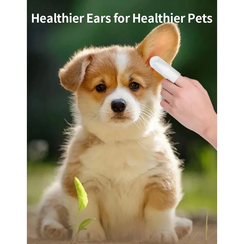 50 PCS Pet Cleaning Products Ear Cleaning Wipes Ear Care Fingertips Ear Mite Removal Cat and Dog Ear Cleaning Pet Products - FurrrBabies & More! - 7445030614637