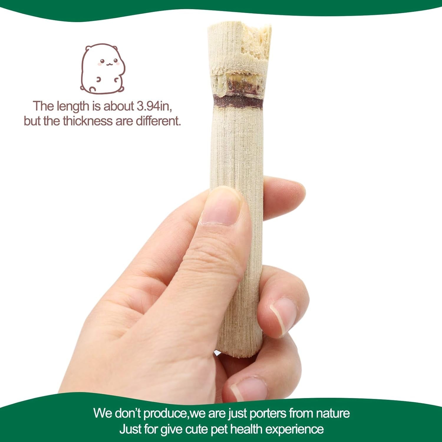 500G Pet Snacks Sweet Bamboo Chew Toy for Squirrel Rabbits Guinea Pigs Chinchilla Hamster - FurrrBabies & More! - 7445004980904