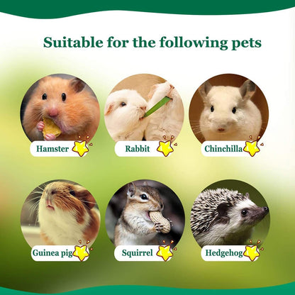 500G Pet Snacks Sweet Bamboo Chew Toy for Squirrel Rabbits Guinea Pigs Chinchilla Hamster - FurrrBabies & More! - 7445004980904