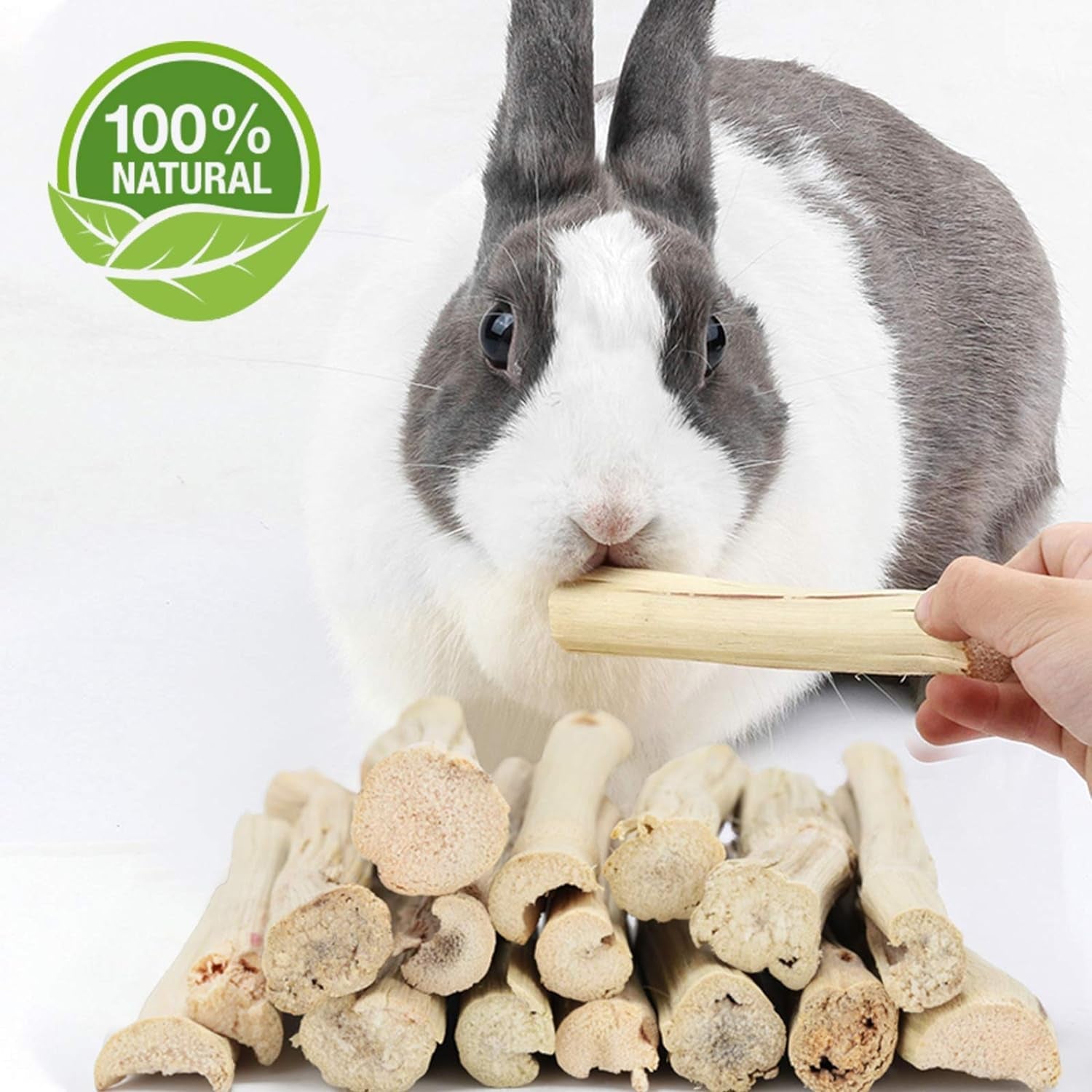 500G Pet Snacks Sweet Bamboo Chew Toy for Squirrel Rabbits Guinea Pigs Chinchilla Hamster - FurrrBabies & More! - 7445004980904