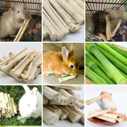500G Pet Snacks Sweet Bamboo Chew Toy for Squirrel Rabbits Guinea Pigs Chinchilla Hamster - FurrrBabies & More! - 7445004980904