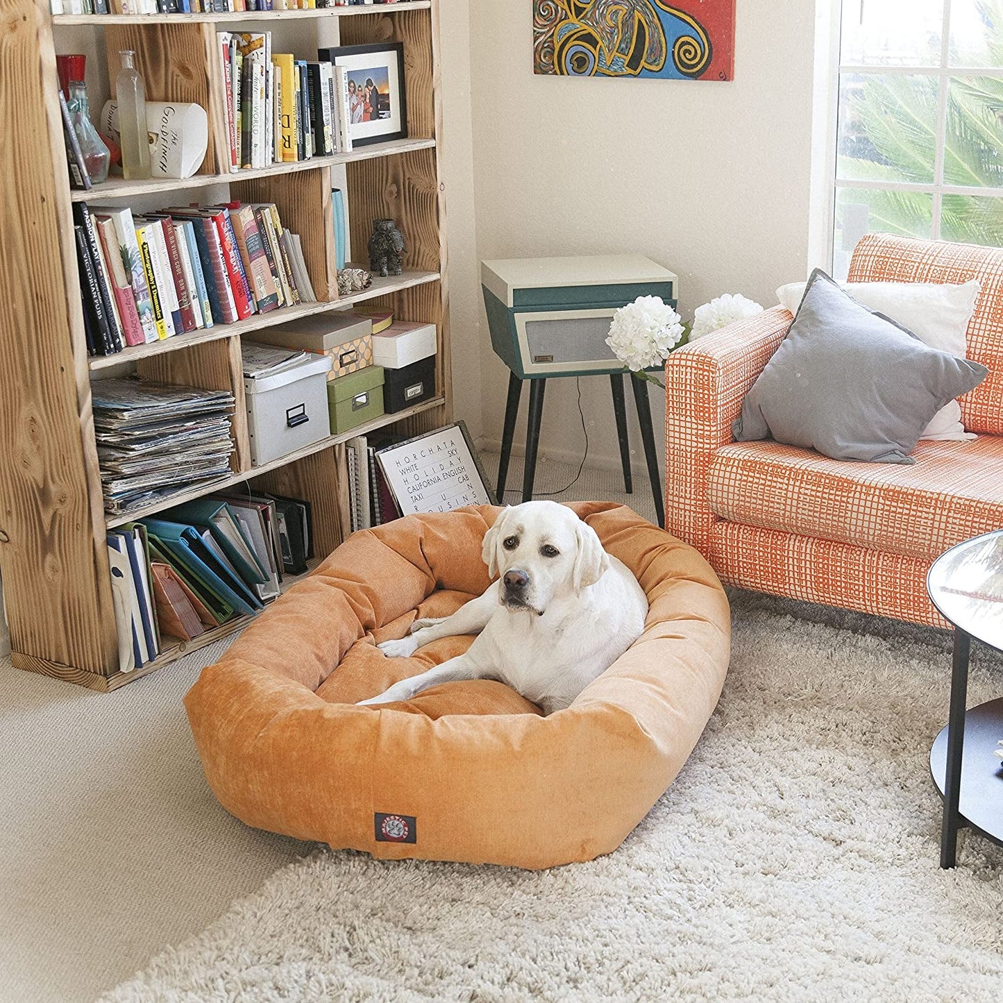 52 Inch Micro Velvet Calming Dog Bed Washable – Cozy Soft round Dog Bed with Spine for Head Support - Fluffy Donut Puppy Mat 52X35X11 (Inch) X - Large – Azure - FurrrBabies & More! - 7445037664659