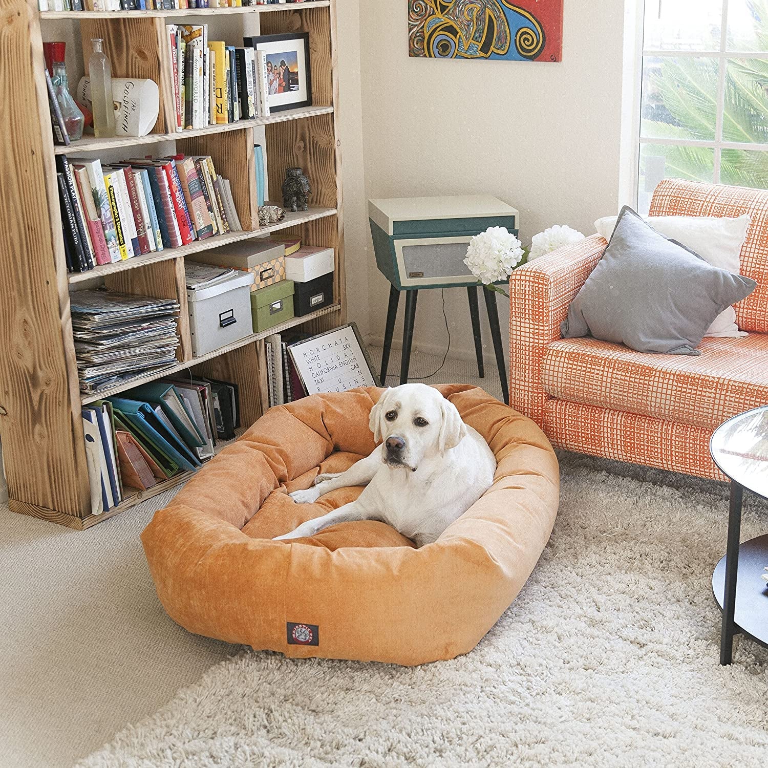 52 Inch Micro Velvet Calming Dog Bed Washable – Cozy Soft round Dog Bed with Spine for Head Support - Fluffy Donut Puppy Mat 52X35X11 (Inch) X - Large – Azure - FurrrBabies & More! - 7445037664659