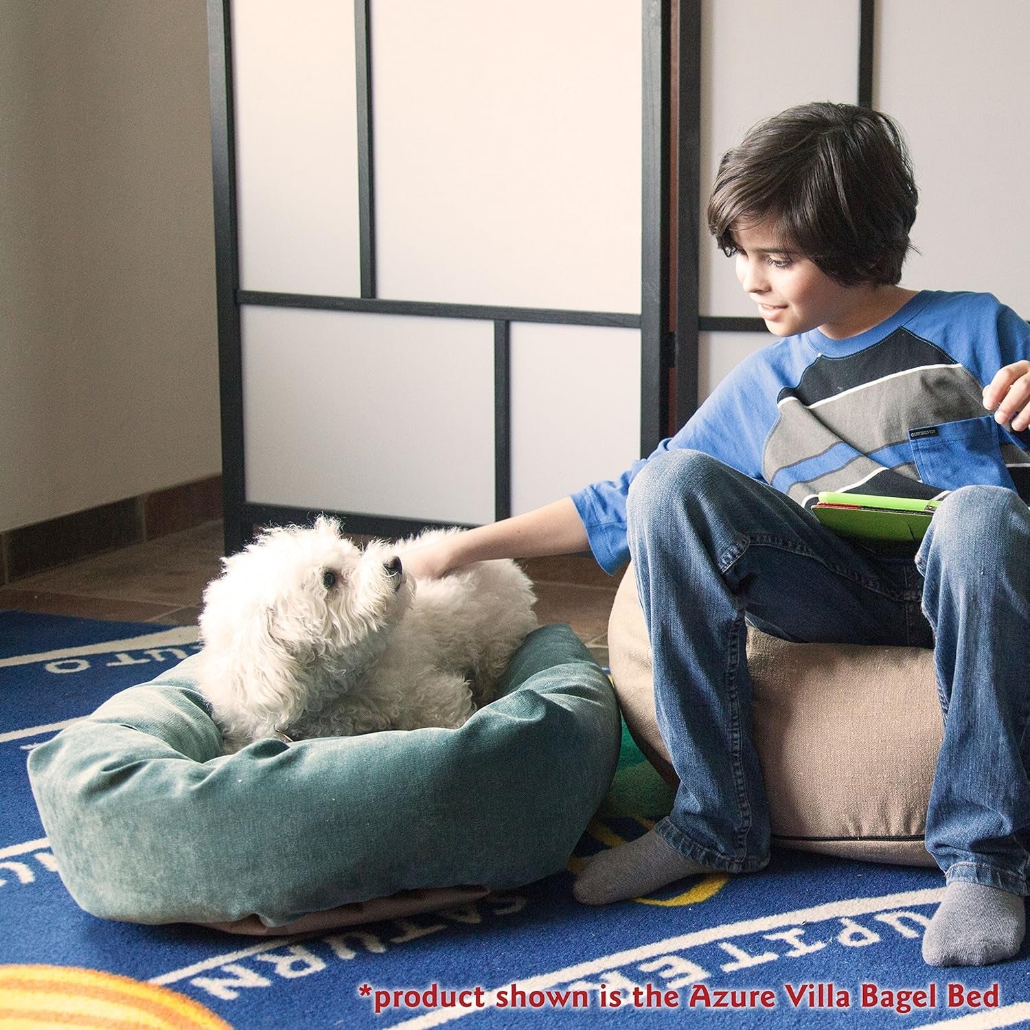 52 Inch Micro Velvet Calming Dog Bed Washable – Cozy Soft round Dog Bed with Spine for Head Support - Fluffy Donut Puppy Mat 52X35X11 (Inch) X - Large – Azure - FurrrBabies & More! - 7445037664659