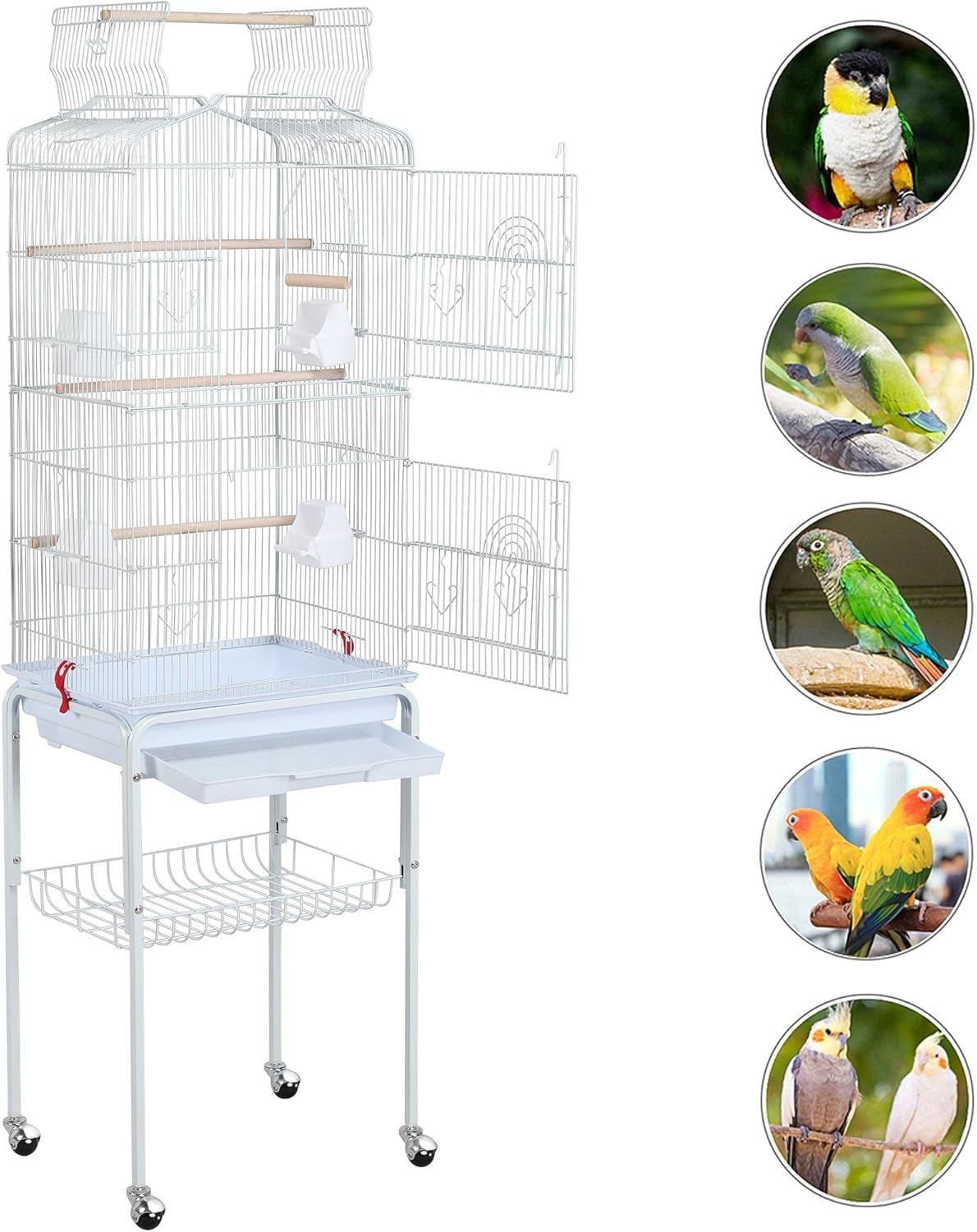 64 - Inch Open Play Top Bird Cages for Parakeets Cockatiels Finches Lovebirds Canaries Conures Budgies Parrot Birdcage W/Detachable Rolling Stand, White - FurrrBabies & More! - 313029252245