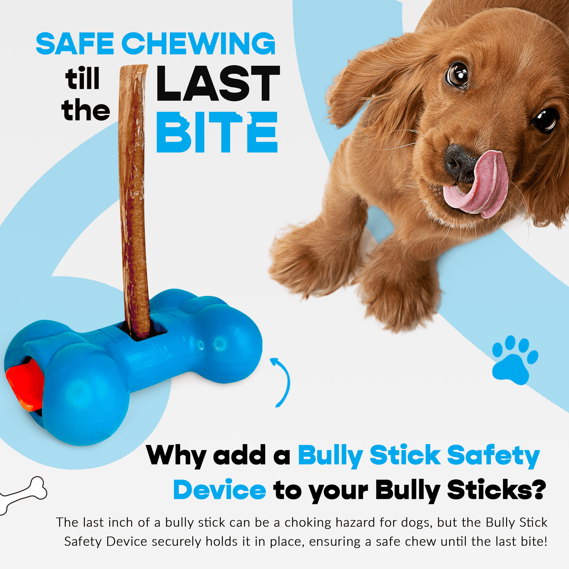 7" Thick Bully Sticks - Refill Pack - FurrrBabies & More! - 00197644866885Bully Sticks