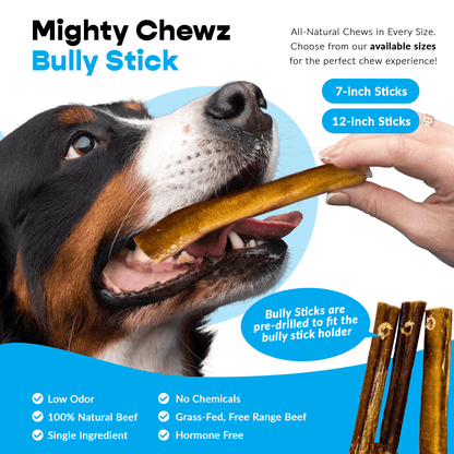 7" Thick Bully Sticks - Refill Pack - FurrrBabies & More! - 00197644866885Bully Sticks