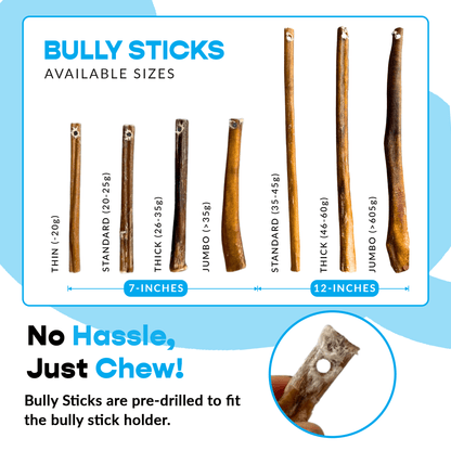 7" Thick Bully Sticks - Refill Pack - FurrrBabies & More! - 00197644866885Bully Sticks