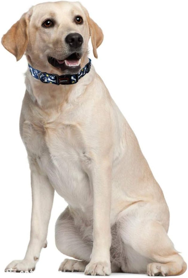 Adjustable Soft Dog Collar: Print Flower Pink Multicolor Cute Patterns for XS Small Medium Large Pet Girl Boy Puppy Walking Running Training (XS, Bone) - FurrrBabies & More! - 726084358041