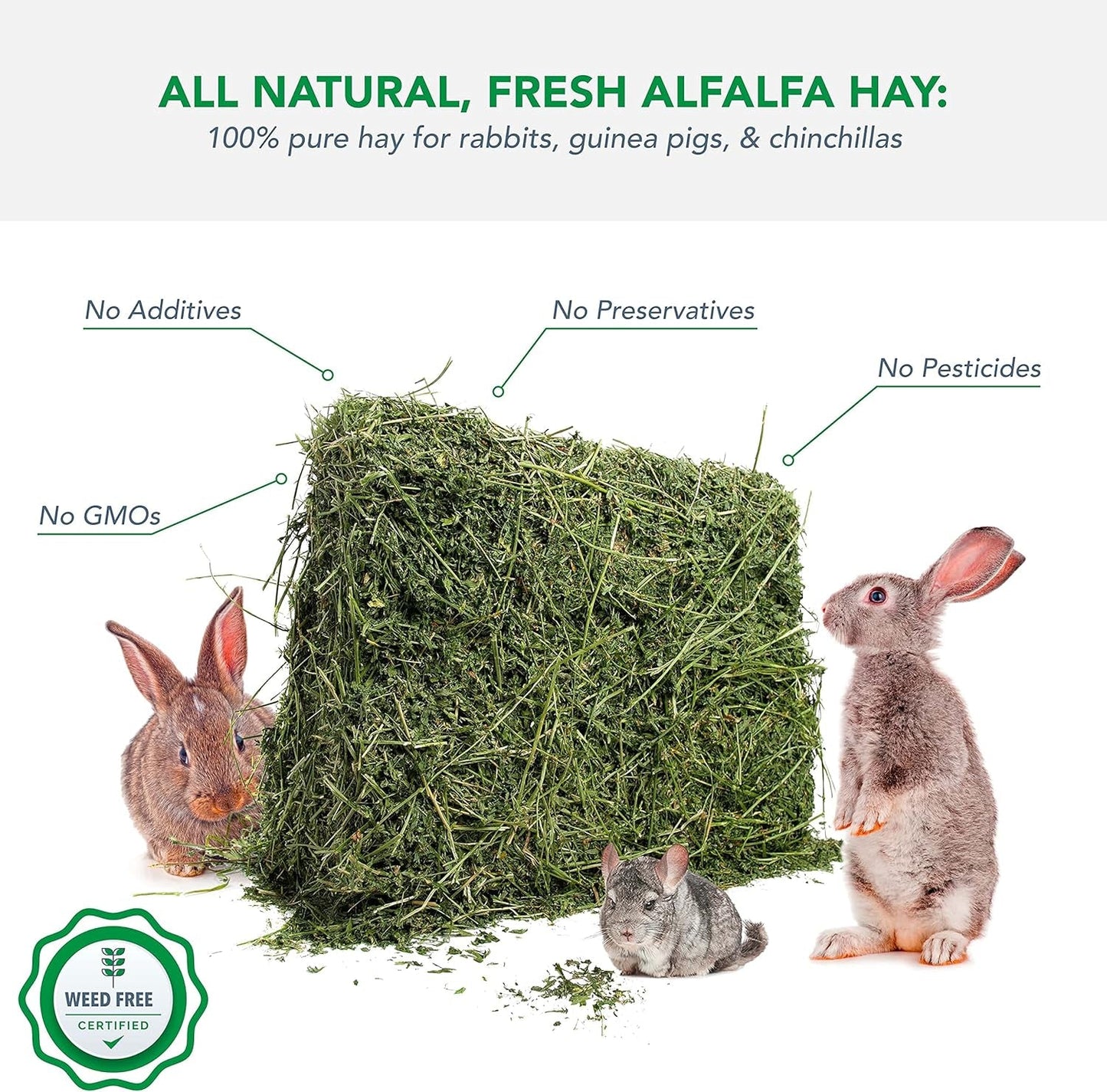 Alfalfa Hay for Rabbits & Small Pets, 10 Lbs - FurrrBabies & More! - 313101539592