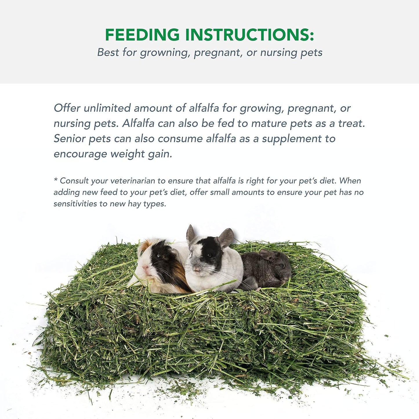 Alfalfa Hay for Rabbits & Small Pets, 10 Lbs - FurrrBabies & More! - 313101539592