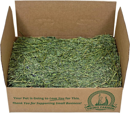 Alfalfa Hay for Rabbits & Small Pets, 10 Lbs - FurrrBabies & More! - 313101539592
