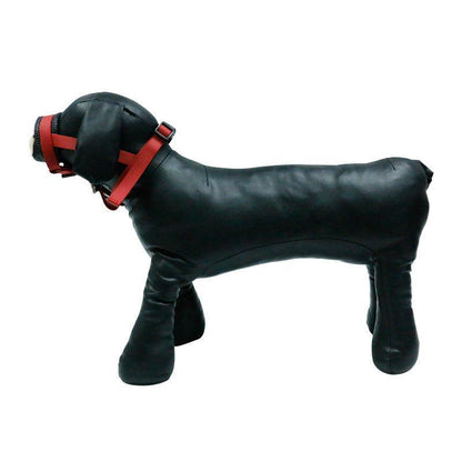 Anti - Eating Dog Mouth Cover With Multifunctional Collars - FurrrBabies & More! - Dog Collars, Leashes & Harnesses