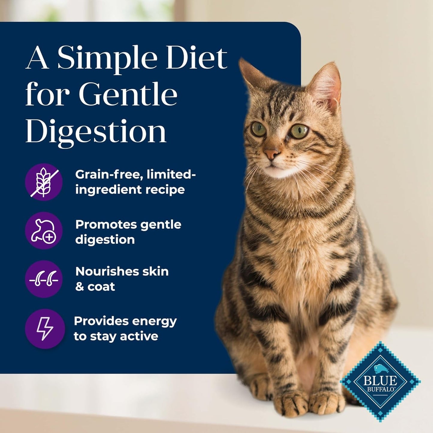 Basics Grain - Free Dry Cat Food, Skin & Stomach Care, Limited Ingredient Diet for Indoor Cats, Turkey & Potato Recipe, 11 - Lb. Bag - FurrrBabies & More! - 313023148100