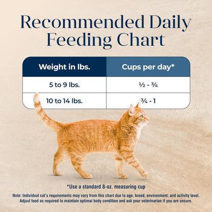 Basics Grain - Free Dry Cat Food, Skin & Stomach Care, Limited Ingredient Diet for Indoor Cats, Turkey & Potato Recipe, 11 - Lb. Bag - FurrrBabies & More! - 313023148100