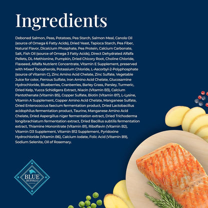 Basics Grain - Free Dry Dog Food for Adult Dogs, Limited Ingredient Diet, Salmon Recipe, 22 - Lb. Bag - FurrrBabies & More! - 7445047342325