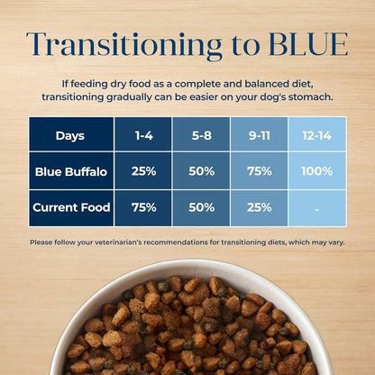 Basics Grain - Free Dry Dog Food for Adult Dogs, Limited Ingredient Diet, Salmon Recipe, 22 - Lb. Bag - FurrrBabies & More! - 7445047342325