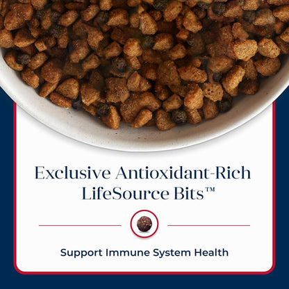 Basics Grain - Free Dry Dog Food for Adult Dogs, Limited Ingredient Diet, Salmon Recipe, 22 - Lb. Bag - FurrrBabies & More! - 7445047342325