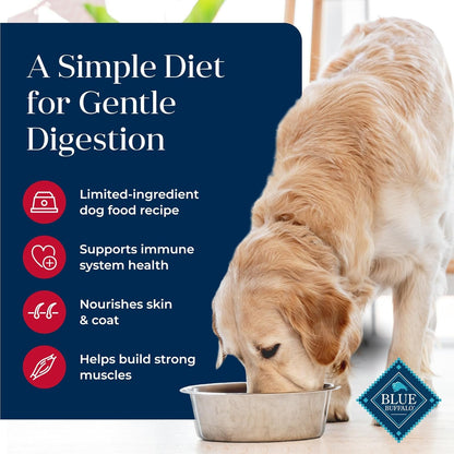 Basics Grain - Free Dry Dog Food for Adult Dogs, Limited Ingredient Diet, Salmon Recipe, 22 - Lb. Bag - FurrrBabies & More! - 7445047342325