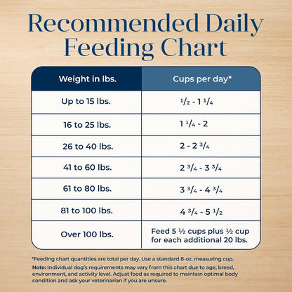 Basics Grain - Free Dry Dog Food for Adult Dogs, Limited Ingredient Diet, Salmon Recipe, 22 - Lb. Bag - FurrrBabies & More! - 7445047342325