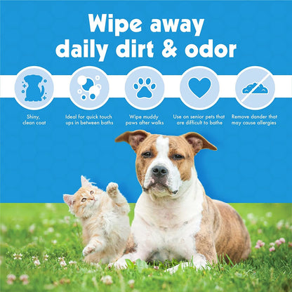 Big N' Thick Petwipes 100 Ct - FurrrBabies & More! - 705353430800