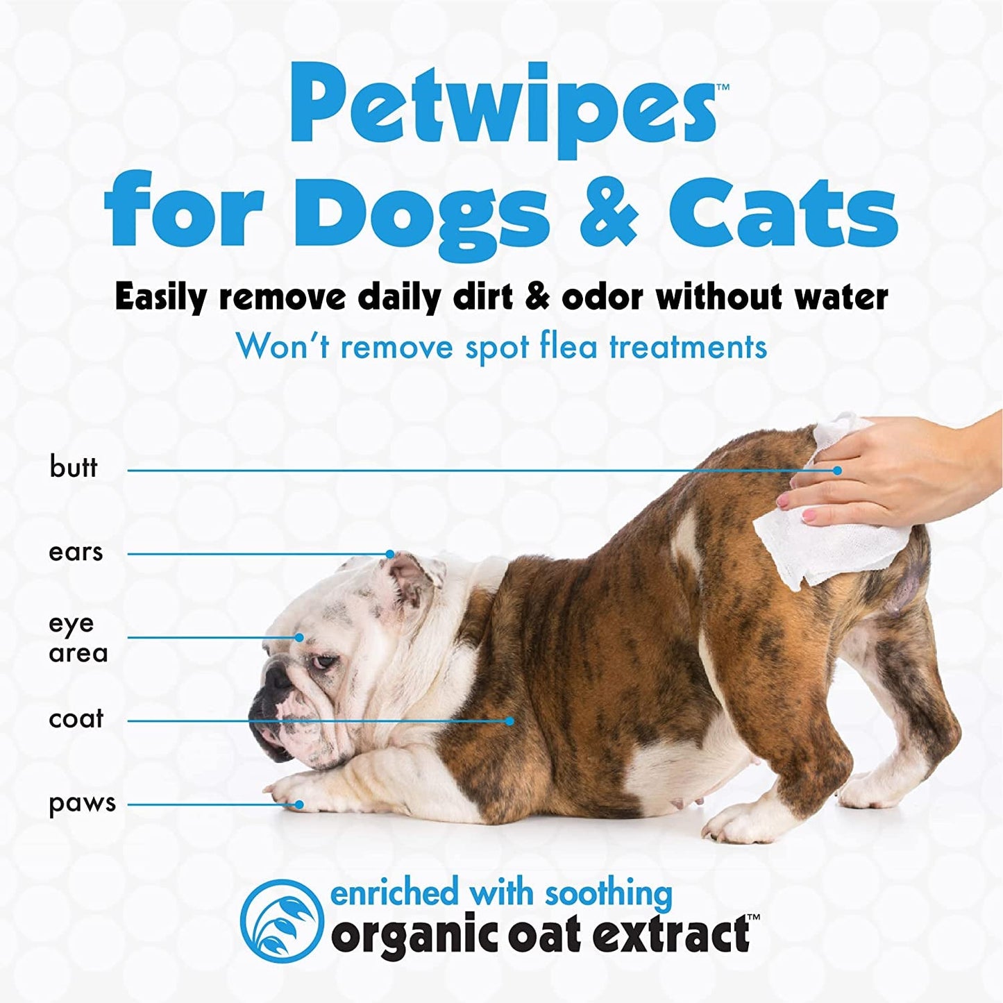Big N' Thick Petwipes 100 Ct - FurrrBabies & More! - 705353430800