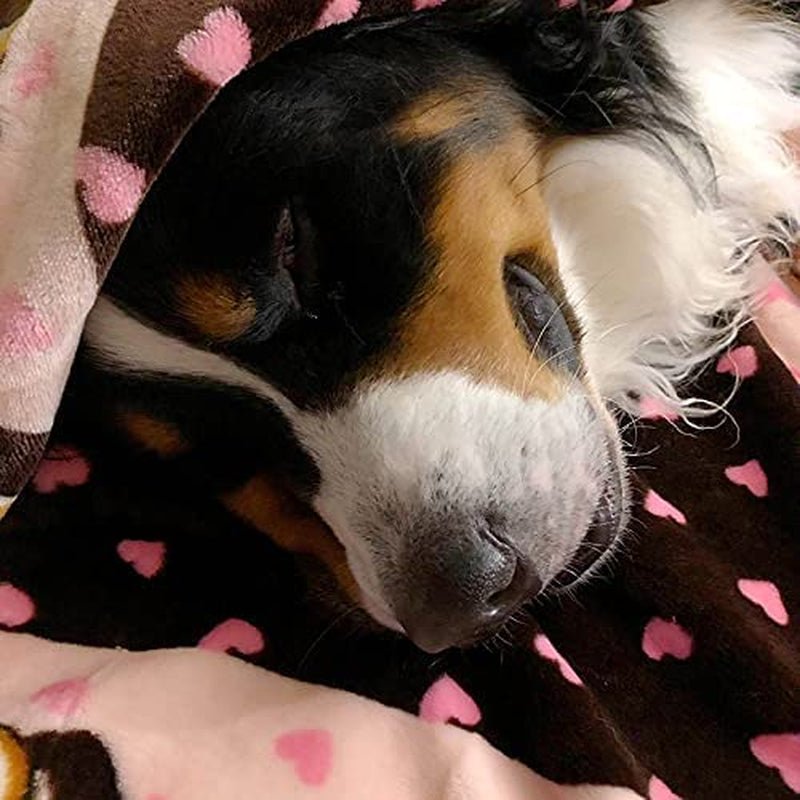 Blanket for Pets - Cozy Dog Blanket for Small Dogs - Machine Washable Dog Blanket - FurrrBabies & More! - 313109898851