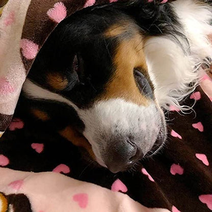 Blanket for Pets - Cozy Dog Blanket for Small Dogs - Machine Washable Dog Blanket - FurrrBabies & More! - 313109898851