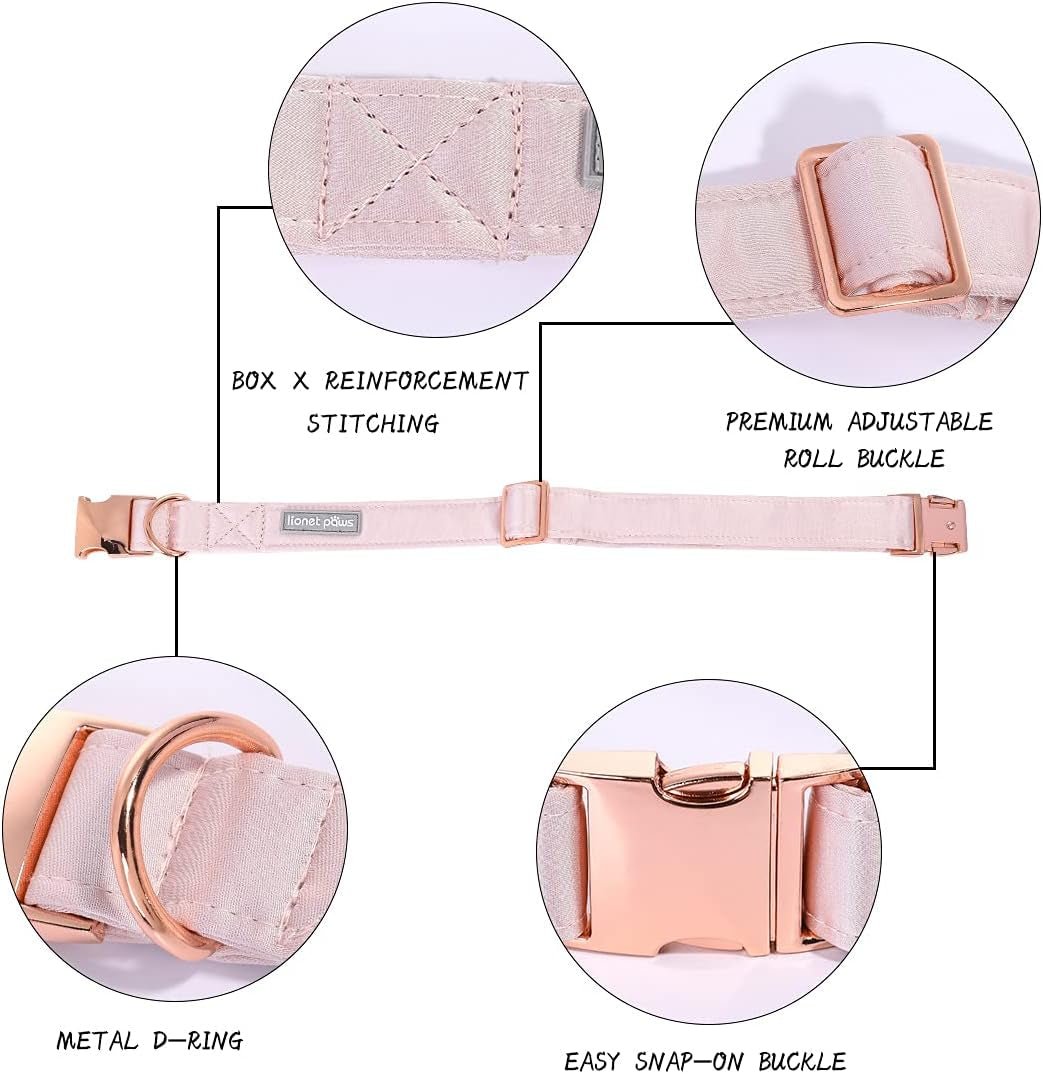 Bowtie Dog Collar - Comfortable Silk Dog Collar with Detachable Bow Tie for Small Dogs, Neck 10 - 16 Inches - FurrrBabies & More! - 313042530535