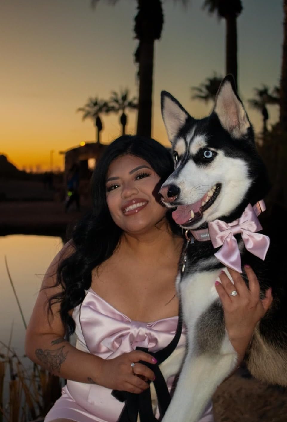 Bowtie Dog Collar - Comfortable Silk Dog Collar with Detachable Bow Tie for Small Dogs, Neck 10 - 16 Inches - FurrrBabies & More! - 313042530535