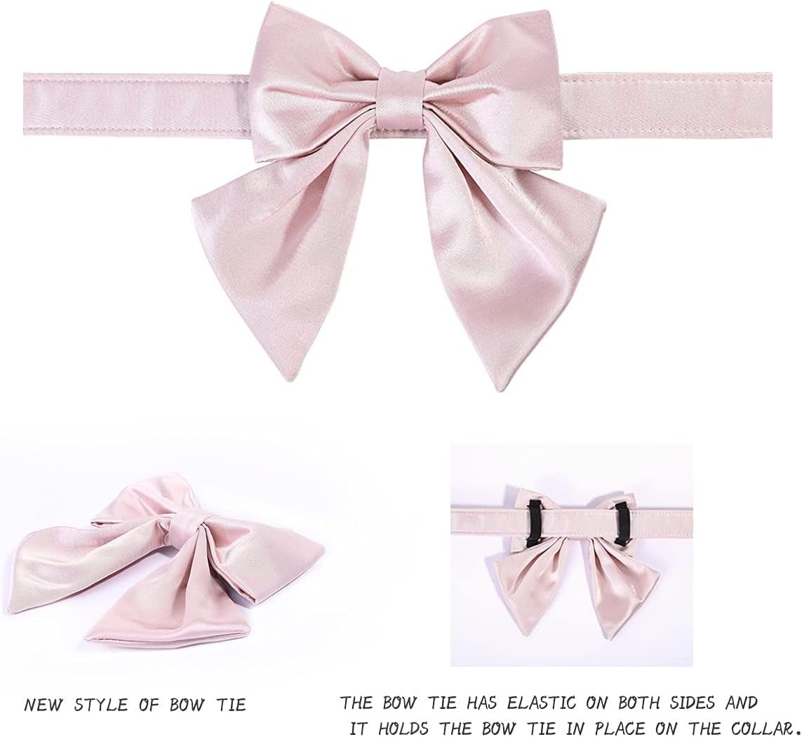 Bowtie Dog Collar - Comfortable Silk Dog Collar with Detachable Bow Tie for Small Dogs, Neck 10 - 16 Inches - FurrrBabies & More! - 313042530535