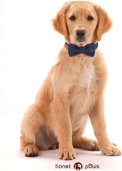 Boy Dog Collar with Bowtie, Comfortable Adjustable Cute Navy Blue Bow Tie Collar for Male Dogs Gift, Xlarge, Neck 16 - 26 Inches - FurrrBabies & More! - 711181719604