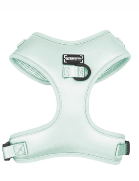 BUNDLE - MINT GREEN - FurrrBabies & More! - Dog Apparel